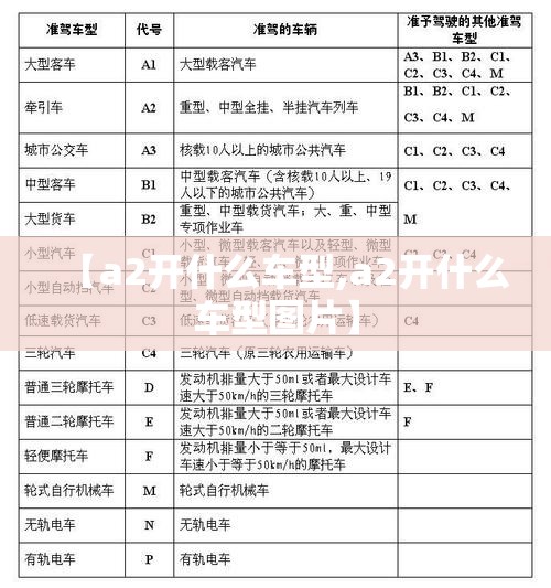 【a2开什么车型,a2开什么车型图片】