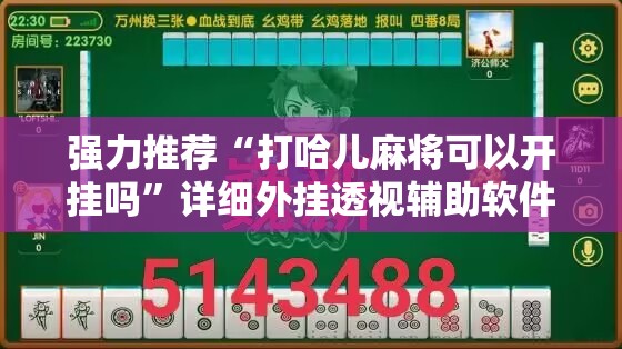 强力推荐“打哈儿麻将可以开挂吗”详细外挂透视辅助软件教程