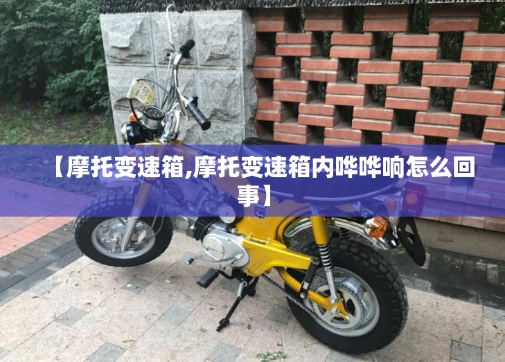 【摩托变速箱,摩托变速箱内哗哗响怎么回事】 【摩托变速箱,摩托变速箱内哗哗响怎么回事】