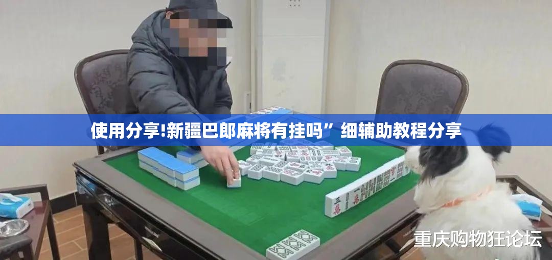 使用分享!新疆巴郎麻将有挂吗”细辅助教程分享