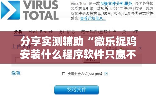 分享实测辅助“微乐捉鸡安装什么程序软件只赢不输”详细分享装挂步骤