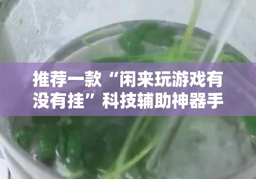 推荐一款“闲来玩游戏有没有挂	”科技辅助神器手机版