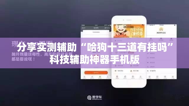 分享实测辅助“哈狗十三道有挂吗”科技辅助神器手机版