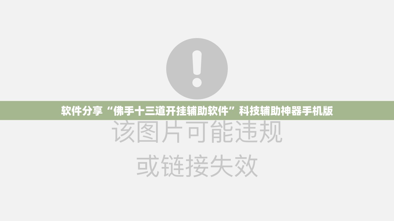 软件分享“佛手十三道开挂辅助软件”科技辅助神器手机版