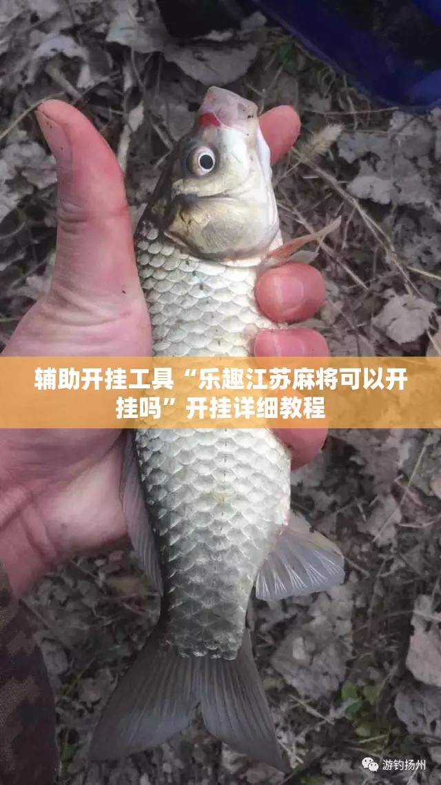 辅助开挂工具“乐趣江苏麻将可以开挂吗”开挂详细教程