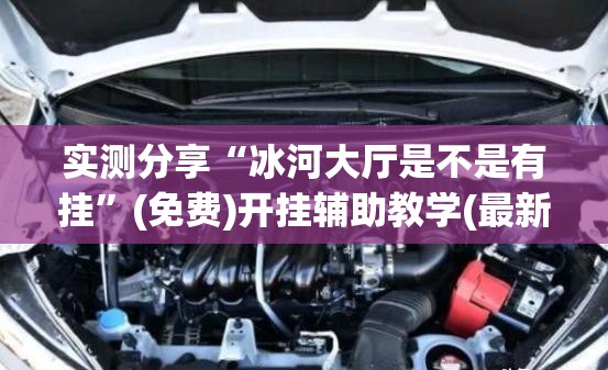 实测分享“冰河大厅是不是有挂”(免费)开挂辅助教学(最新辅助开挂教程)