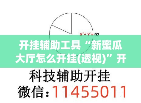 开挂辅助工具“新蜜瓜大厅怎么开挂(透视)”开挂辅助脚本+详细开挂安装教程