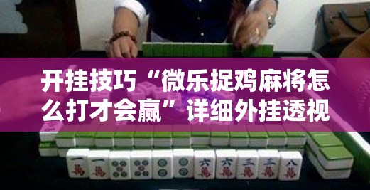 开挂技巧“微乐捉鸡麻将怎么打才会赢”详细外挂透视辅助软件教程