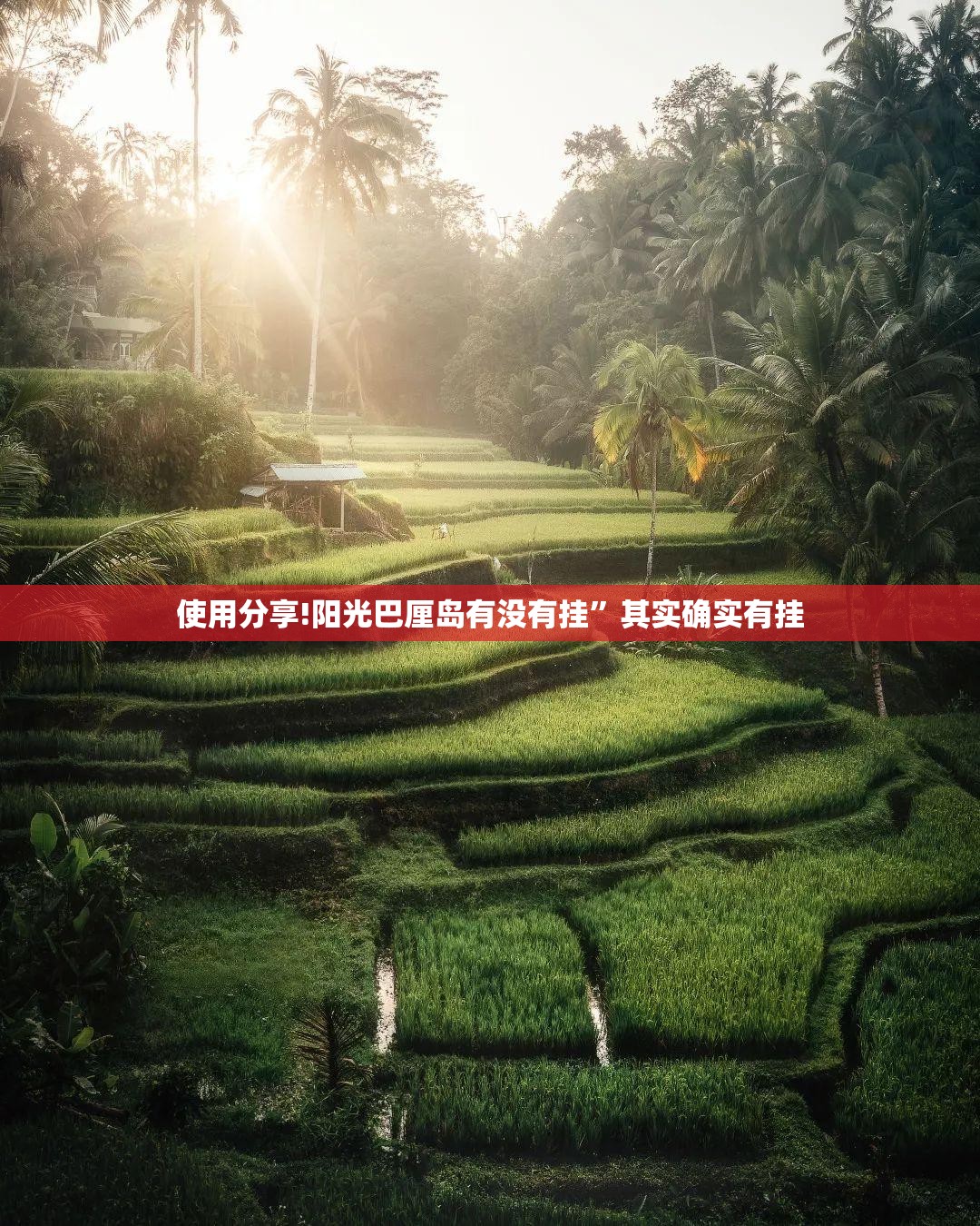 使用分享!阳光巴厘岛有没有挂”其实确实有挂