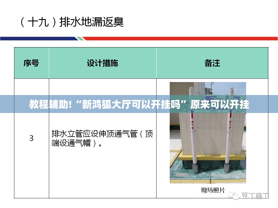 教程辅助!“新鸿狐大厅可以开挂吗”原来可以开挂