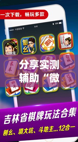 分享实测辅助“微乐捉老麻子技巧”开挂(透视)辅助教程