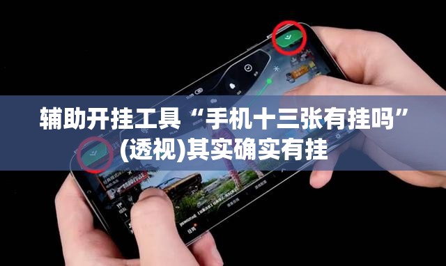 辅助开挂工具“手机十三张有挂吗”(透视)其实确实有挂