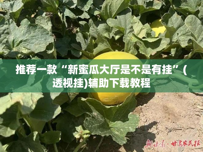 推荐一款“新蜜瓜大厅是不是有挂”(透视挂)辅助下载教程