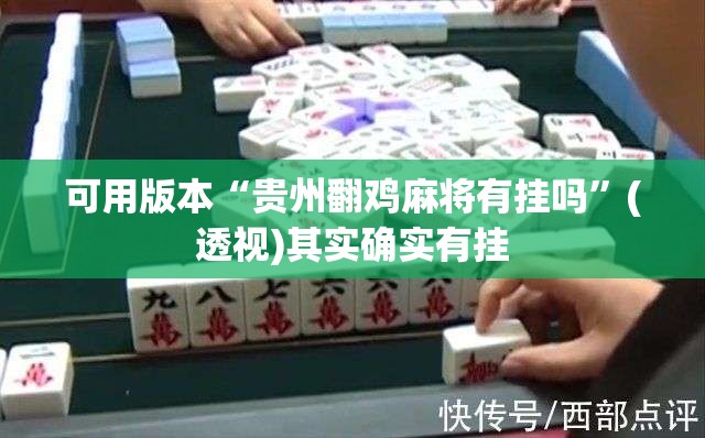可用版本“贵州翻鸡麻将有挂吗”(透视)其实确实有挂