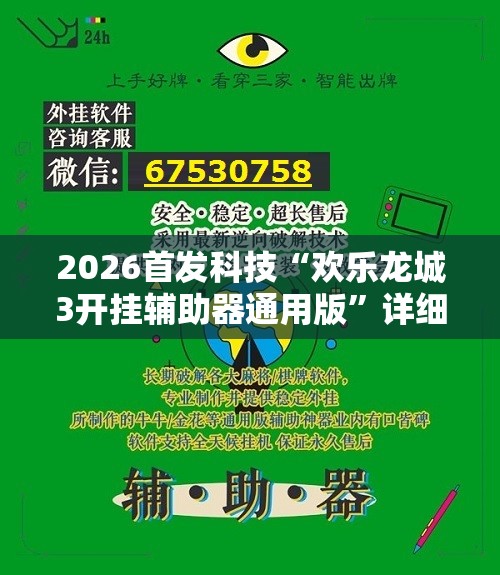 2026首发科技“欢乐龙城3开挂辅助器通用版”详细外挂透视辅助软件教程
