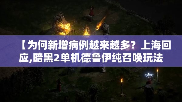 【为何新增病例越来越多？上海回应,暗黑2单机德鲁伊纯召唤玩法】