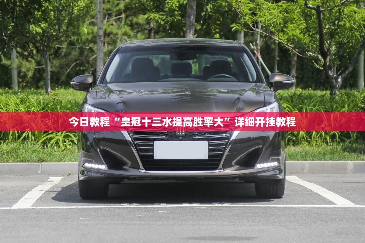 今日教程“皇冠十三水提高胜率大	”详细开挂教程