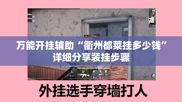 万能开挂辅助“衢州都莱挂多少钱”详细分享装挂步骤