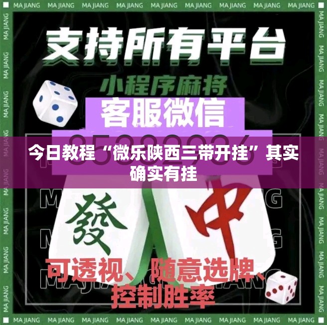 今日教程“微乐陕西三带开挂”其实确实有挂