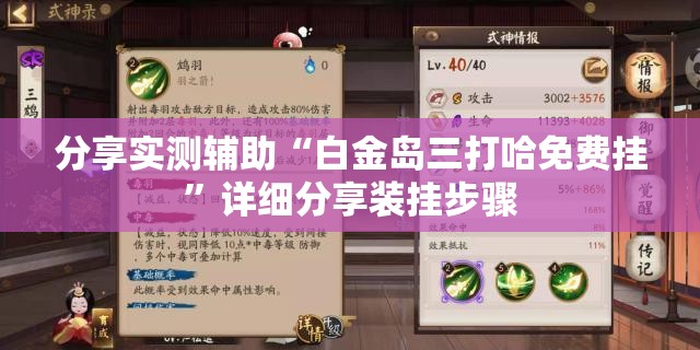 分享实测辅助“白金岛三打哈免费挂”详细分享装挂步骤