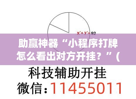 助赢神器“小程序打牌怎么看出对方开挂？”(透视)其实确实有挂