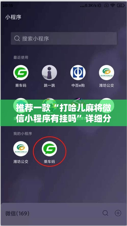 推荐一款“打哈儿麻将微信小程序有挂吗	”详细分享装挂步骤