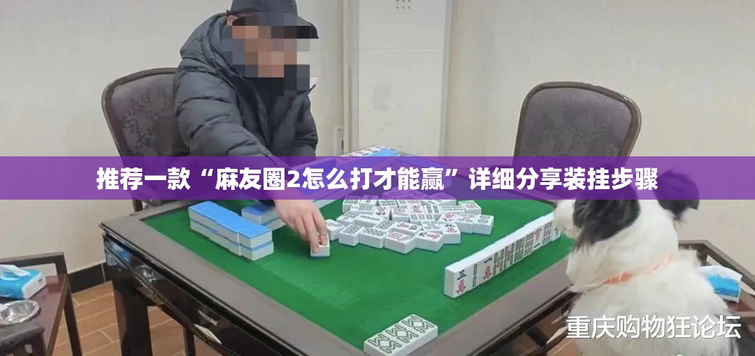 推荐一款“麻友圈2怎么打才能赢”详细分享装挂步骤