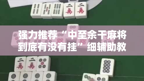 强力推荐“中至余干麻将到底有没有挂”细辅助教程分享