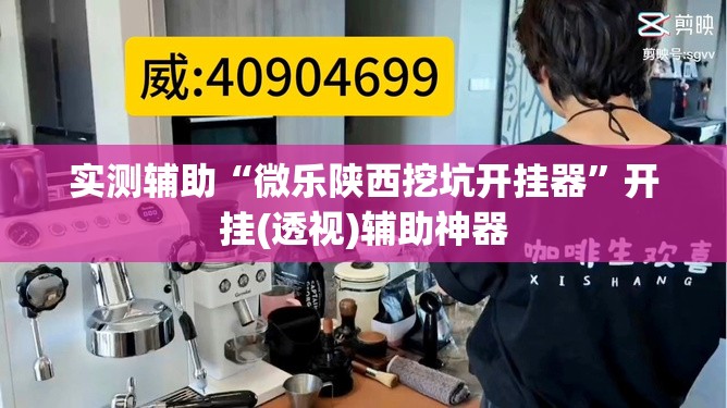 实测辅助“微乐陕西挖坑开挂器	”开挂(透视)辅助神器