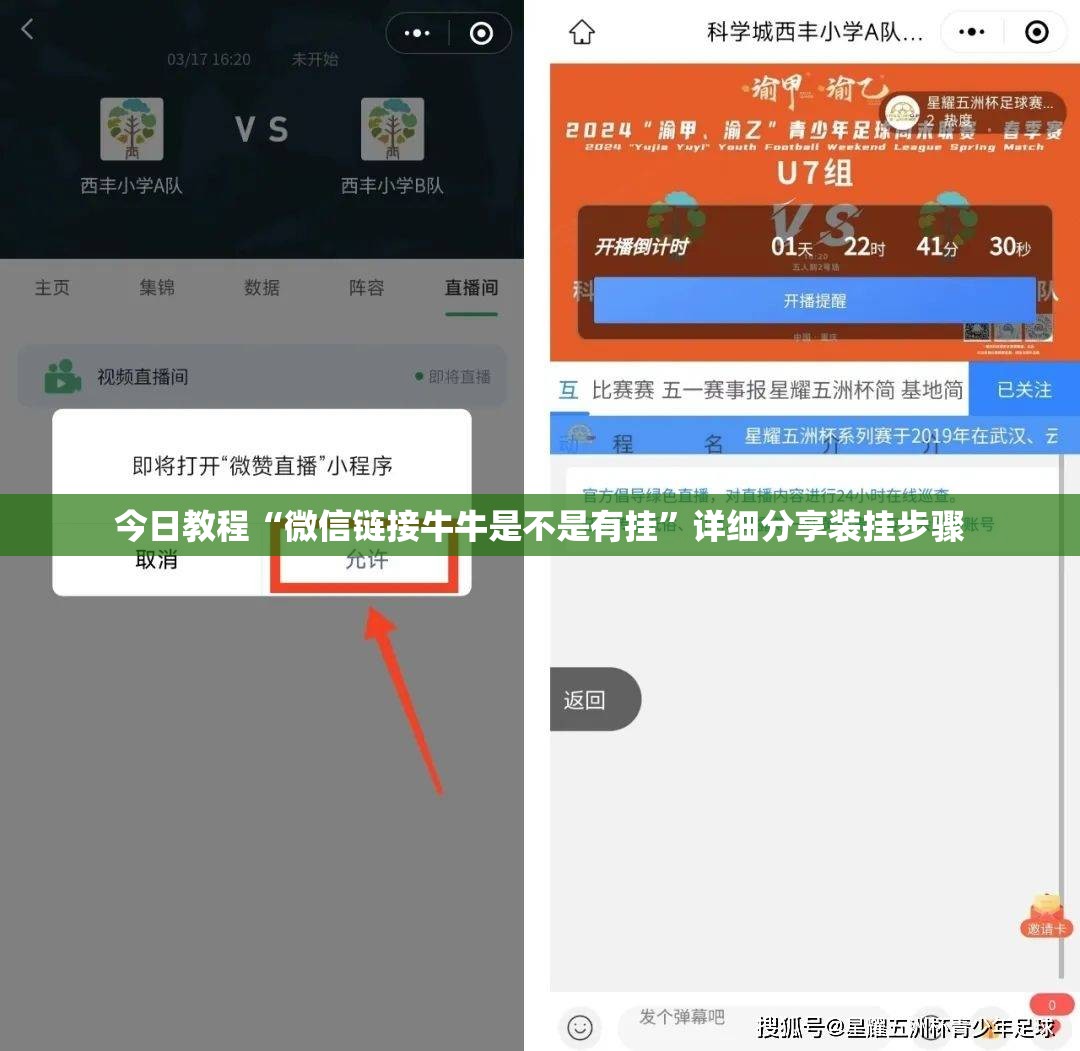 今日教程“微信链接牛牛是不是有挂”详细分享装挂步骤