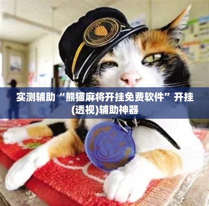 实测辅助“熊猫麻将开挂免费软件”开挂(透视)辅助神器