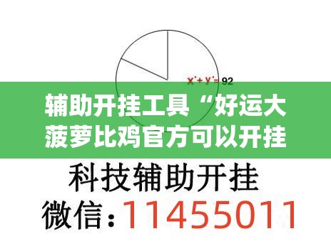 辅助开挂工具“好运大菠萝比鸡官方可以开挂吗(透视)”开挂辅助脚本+详细开挂安装教程