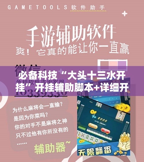 必备科技“大头十三水开挂”开挂辅助脚本+详细开挂安装教程