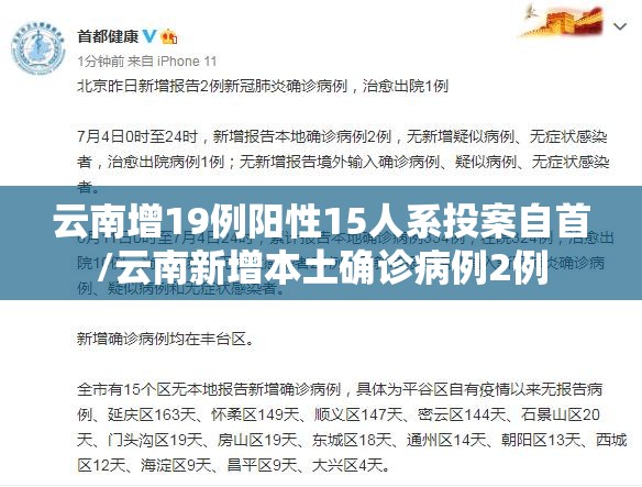 云南增19例阳性15人系投案自首/云南新增本土确诊病例2例