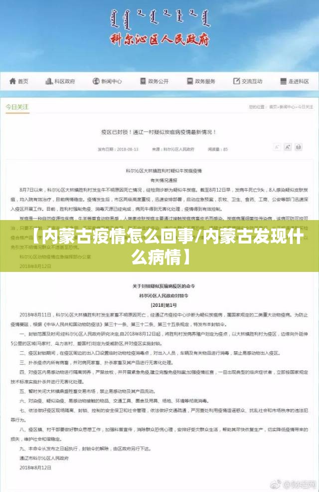 【内蒙古疫情怎么回事/内蒙古发现什么病情】