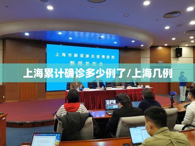 上海累计确诊多少例了/上海几例 上海累计确诊多少例了/上海几例