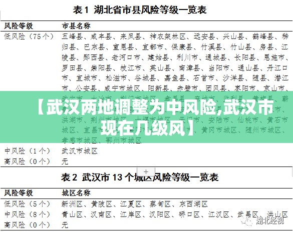【武汉两地调整为中风险,武汉市现在几级风】