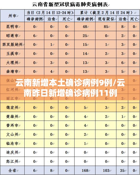 云南新增本土确诊病例9例/云南昨日新增确诊病例11例