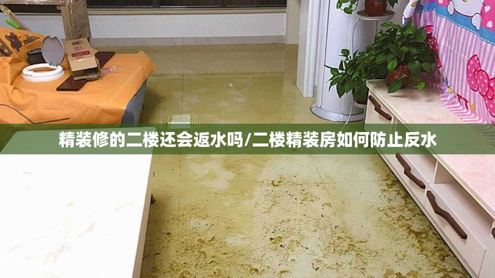 精装修的二楼还会返水吗/二楼精装房如何防止反水