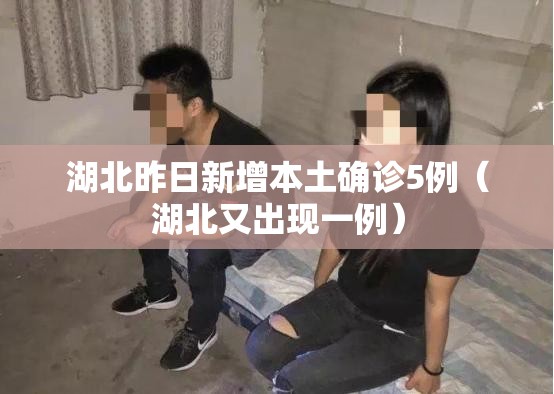 湖北昨日新增本土确诊5例（湖北又出现一例）