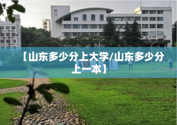 【山东多少分上大学/山东多少分上一本】 【山东多少分上大学/山东多少分上一本】