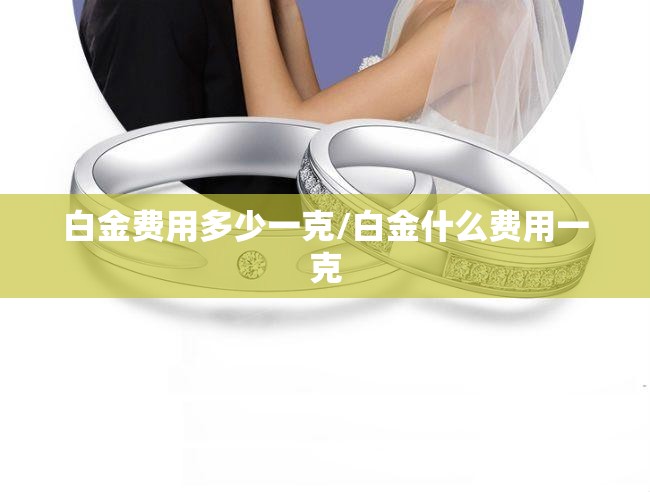 白金费用多少一克/白金什么费用一克