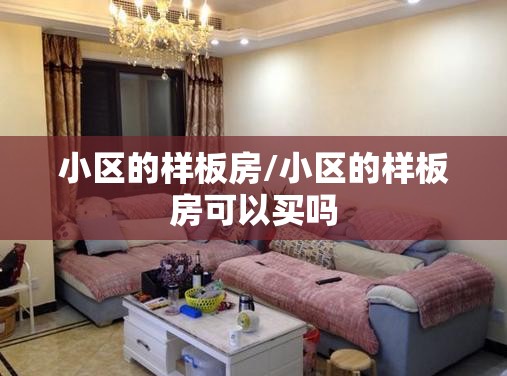 小区的样板房/小区的样板房可以买吗