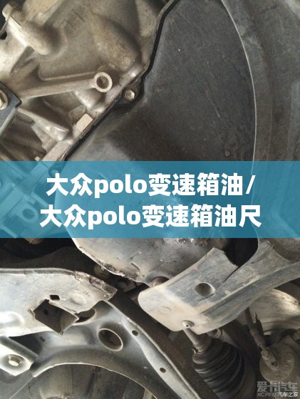 大众polo变速箱油/大众polo变速箱油尺在哪里