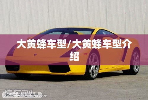 大黄蜂车型/大黄蜂车型介绍