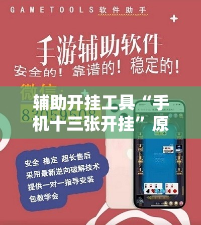 辅助开挂工具“手机十三张开挂	”原来可以开挂