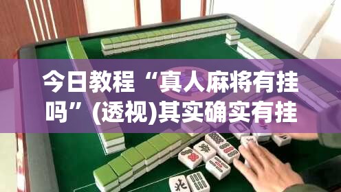 今日教程“真人麻将有挂吗”(透视)其实确实有挂