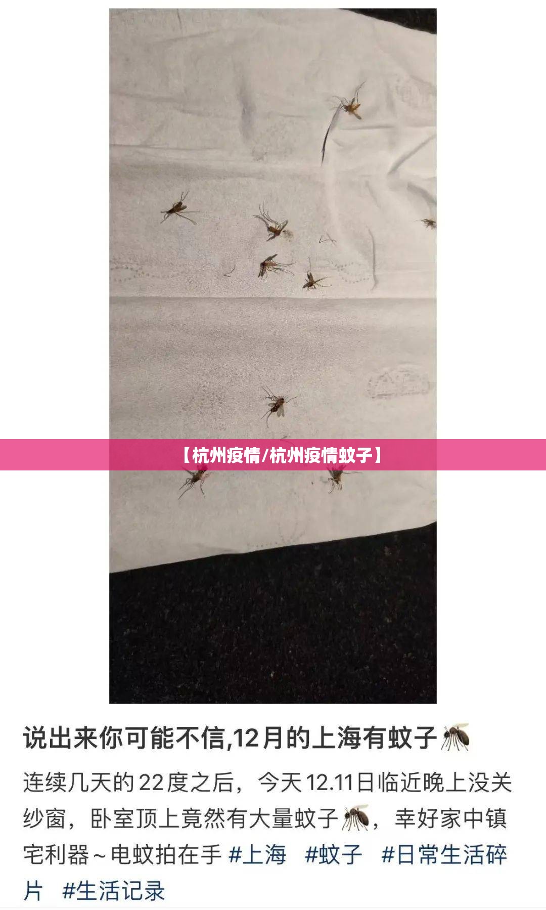 【杭州疫情/杭州疫情蚊子】