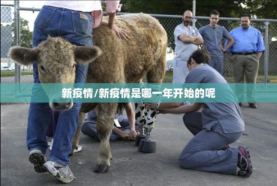 新疫情/新疫情是哪一年开始的呢