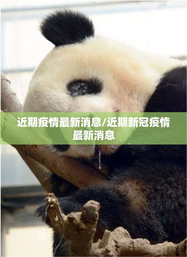 近期疫情最新消息/近期新冠疫情最新消息